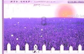 古墓丽影崛起