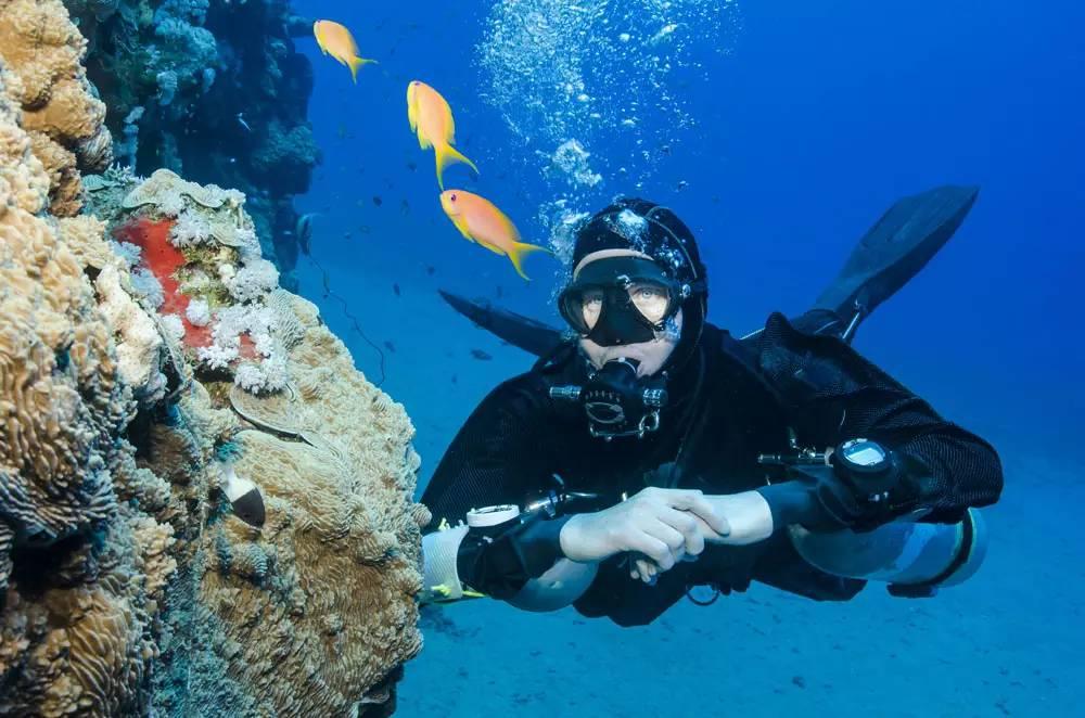 秋季浪漫约会